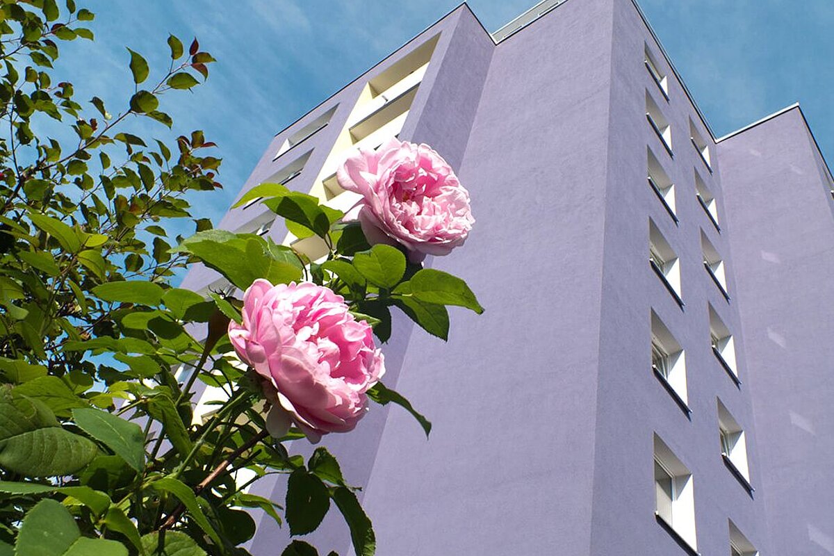 Wohngebiet Alsenberger Straße